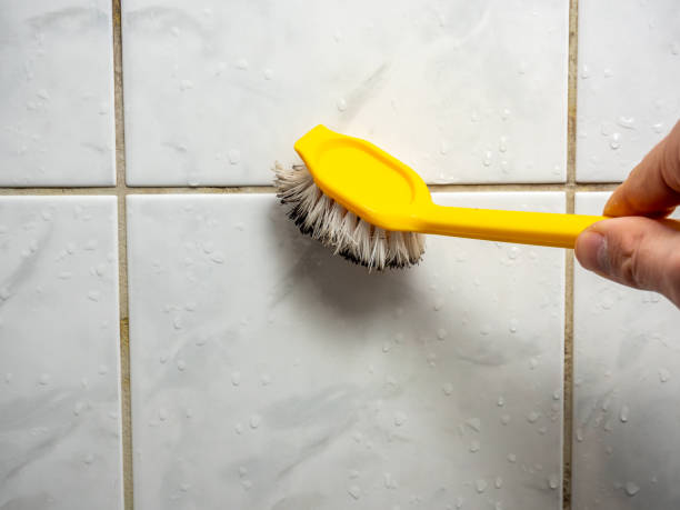 Best Residential Mold Removal  in Manistique, MI